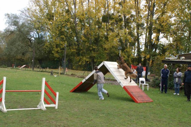 agility 2011-10-30